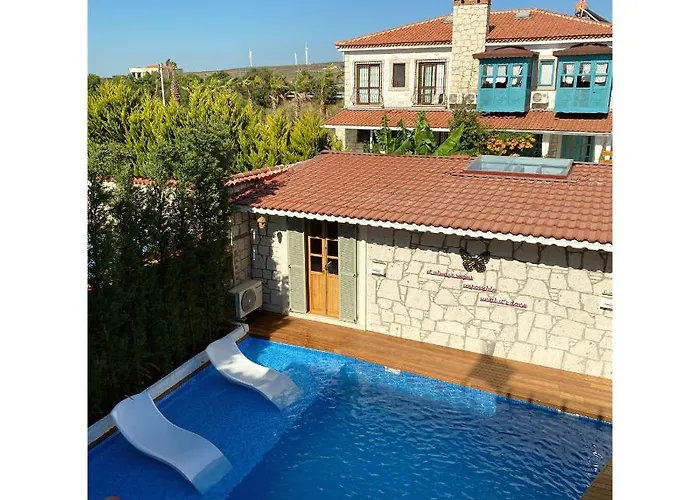 My Dream Дом отдыха