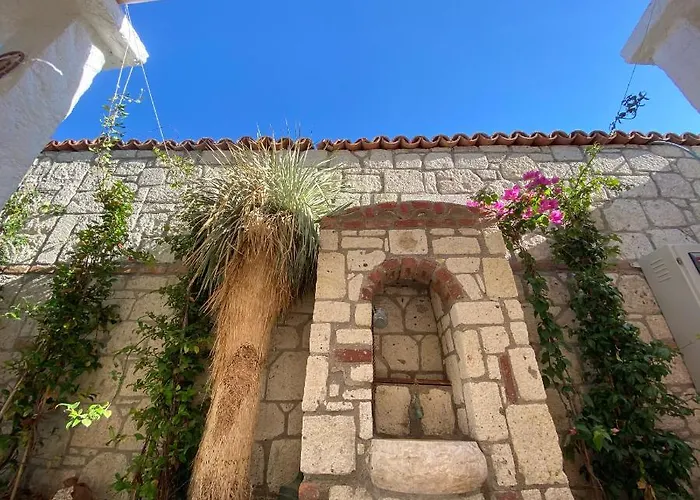 Hébergement de vacances My Dream *