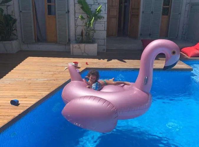 My Dream אלאקאטי